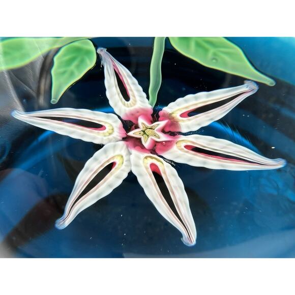 Vintage BACCARAT White & Pink Flower Blue Base Lampwork Paperweight Signed 1971 - Picture 7 of 11